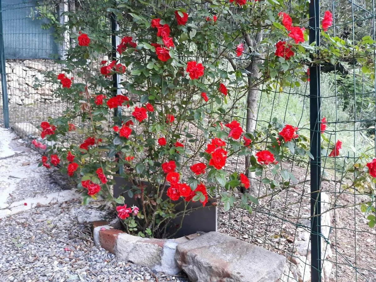 Bed & Breakfast La Villa La Spezia