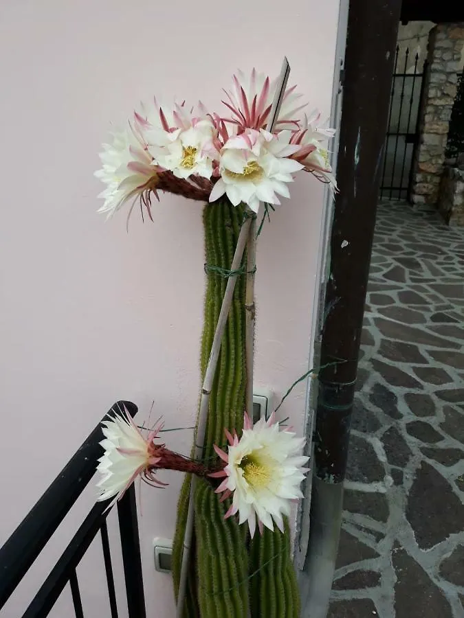 Bed & Breakfast La Villa La Spezia