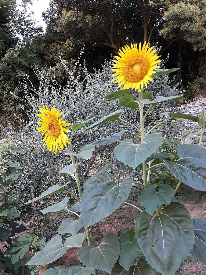 La Villa La Spezia 3*,